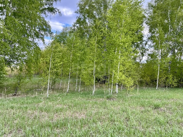 
  Продается земельный участок 71.76 сотка. Фото 14.