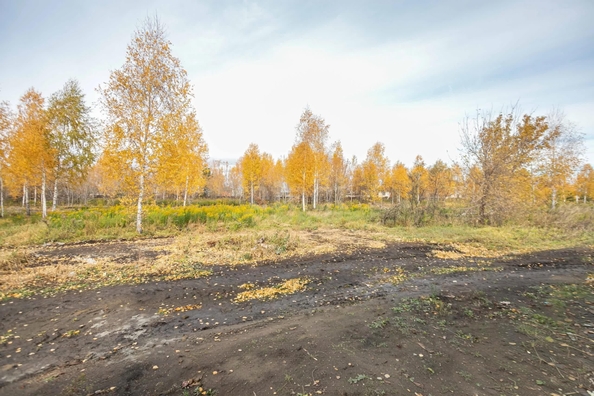 
  Продается дом 71 м². Фото 22.