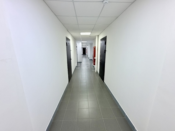 
  Продается студия 25.8 м². Фото 16.