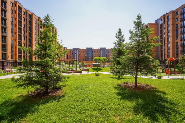 
  Продается 1-комн. квартира 27.3 м², в ЖК Цивилизация, дом 2. Фото 5.