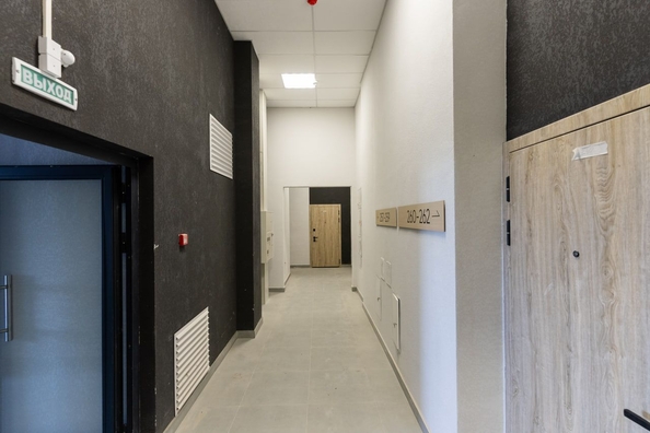 
  Продается 3-комн. квартира 78.7 м², в ЖК Ежевика. Фото 12.