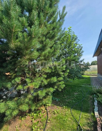 
  Продается дом 88 м². Фото 54.