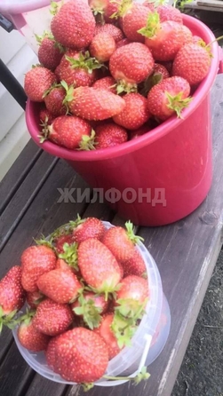 
  Продается дача 50 м². Фото 5.