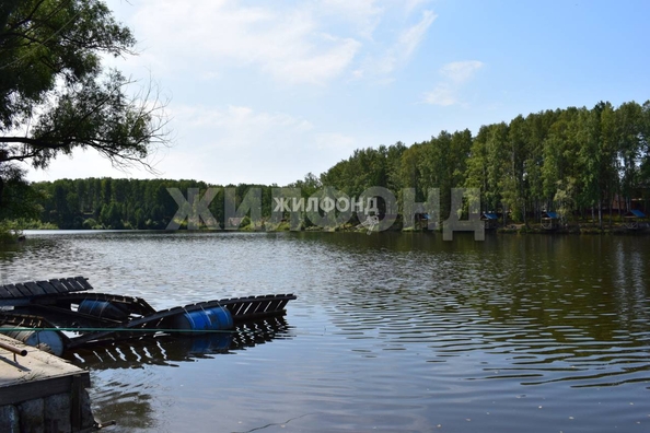 
  Продам  дачный участок, 18.47 соток, Каинская Заимка

. Фото 4.