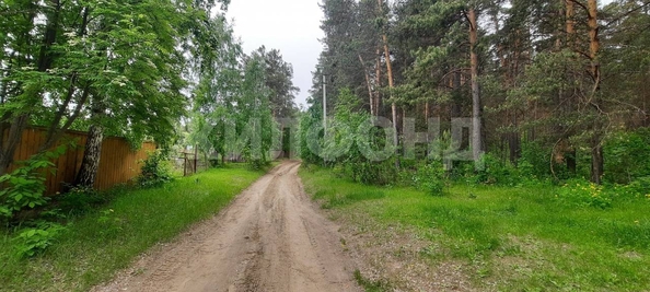 
  Продам  дачный участок, 10 соток, Нижнекаменка

. Фото 4.