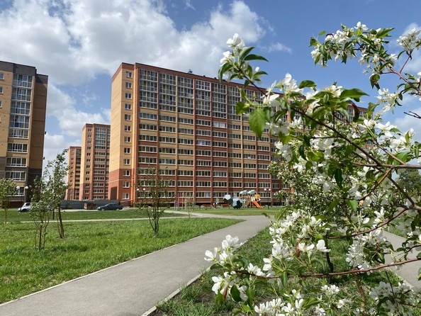 
   Продам 2-комнатную, 55.59 м², Юности ул, 7

. Фото 5.