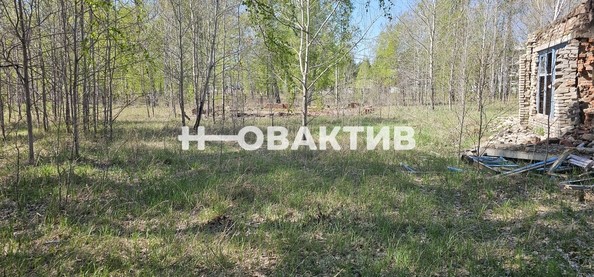 
   Продам помещение свободного назначения, 7600 м², Красная (Боровская радуга тер. СНТ) ул, 2А

. Фото 4.