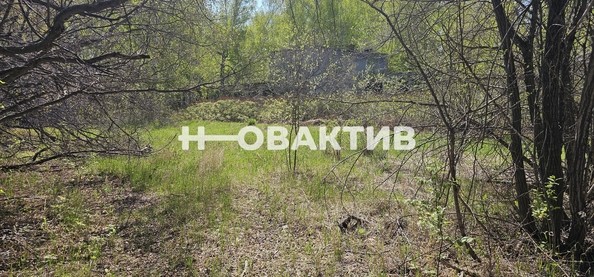 
   Продам помещение свободного назначения, 7600 м², Красная (Боровская радуга тер. СНТ) ул, 2А

. Фото 8.