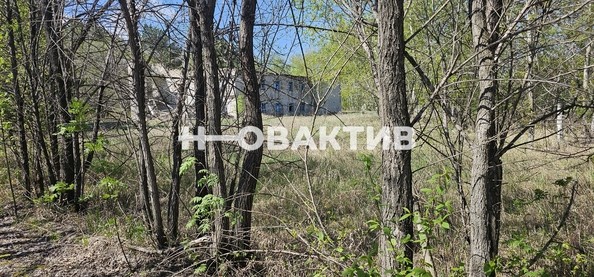 
   Продам помещение свободного назначения, 7600 м², Красная (Боровская радуга тер. СНТ) ул, 2А

. Фото 10.