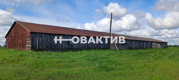 
   Продам помещение свободного назначения, 667.9 м², Костякова ул, 1

. Фото 12.