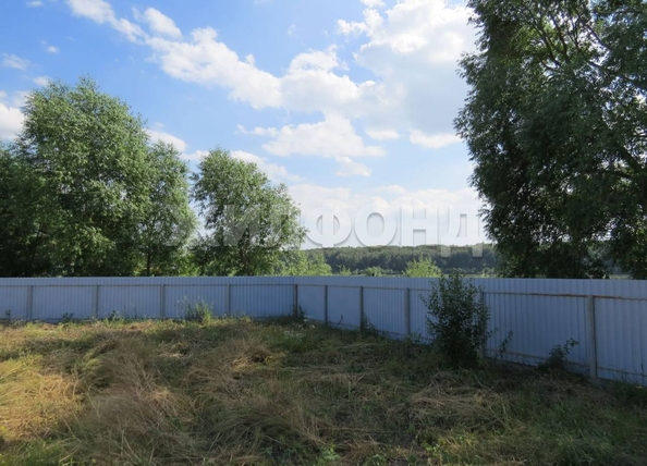 
  Продается земельный участок, 50 соток, село Алексеевка
. Фото 4.