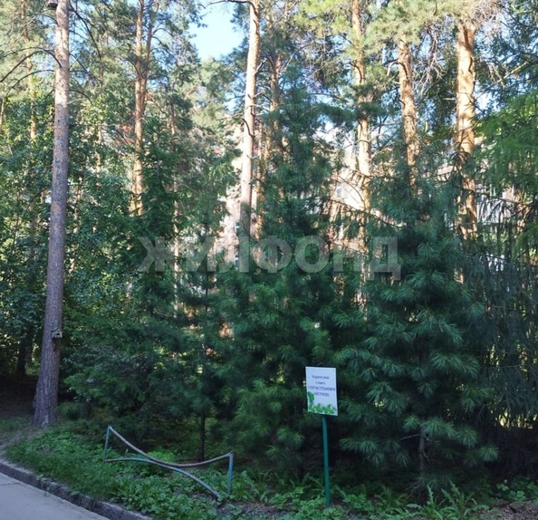 
  Продается комната, 11.1 м², Российская ул, д. 28
. Фото 13.