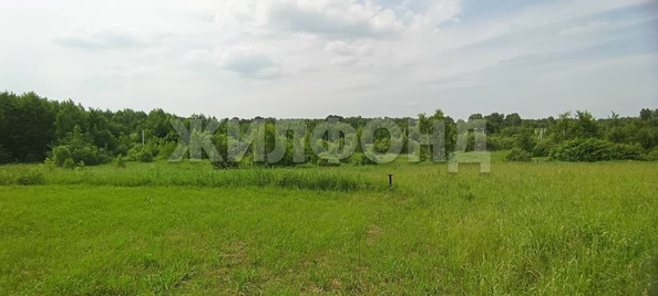 
  Продается земельный участок, 10.52 соток, поселок Воробьевский
. Фото 3.