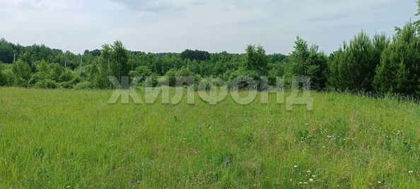 
  Продается земельный участок, 12 соток, поселок Воробьевский
. Фото 6.