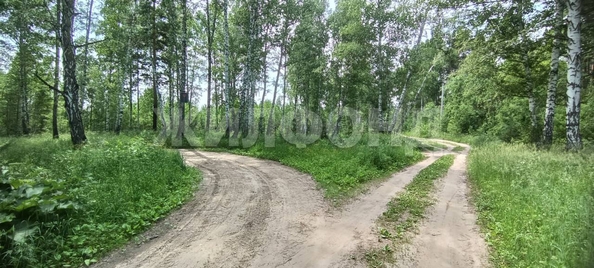 
  Продается земельный участок, 12 соток, поселок Воробьевский
. Фото 12.