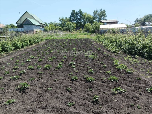 
   Продам дом, 65.3 м², Коченево

. Фото 13.