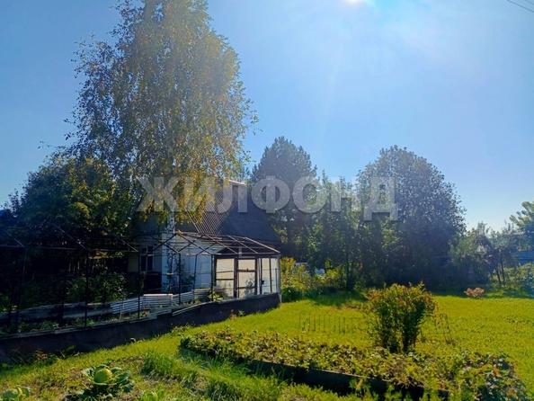 
  Продам дачу, 8 соток, Новосибирск

. Фото 4.