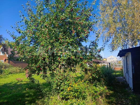 
  Продам дачу, 8 соток, Новосибирск

. Фото 6.