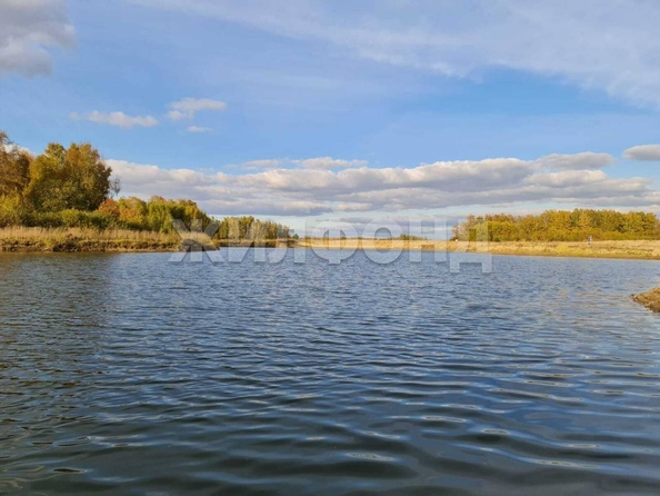 
  Продам  дачный участок, 16.11 соток, Марусино село

. Фото 3.