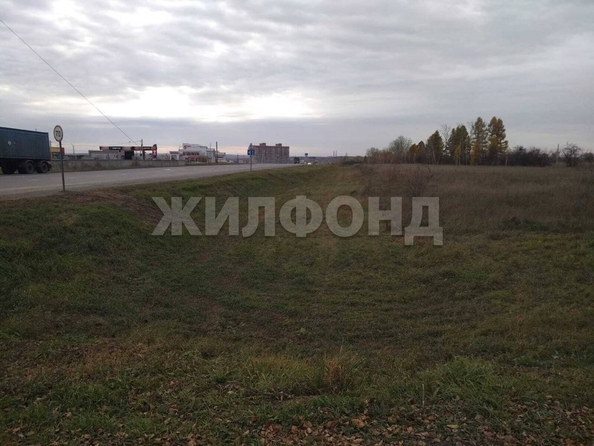 
  Продам  дачный участок, 75 соток, Чернореченский

. Фото 4.