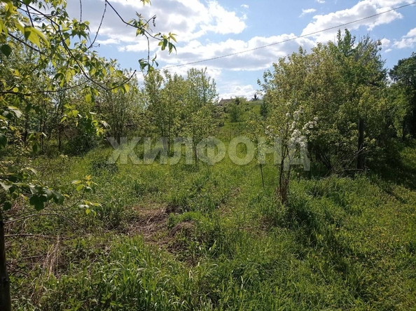 
  Продается земельный участок, 13 соток, село Кубовая
. Фото 3.