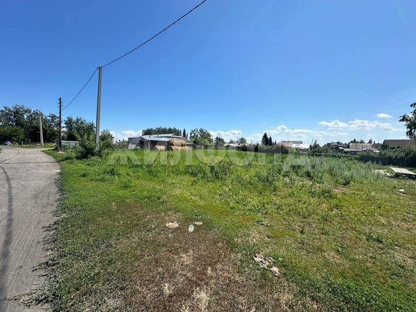 
  Продам  дачный участок, 16 соток, Боровое село

. Фото 2.