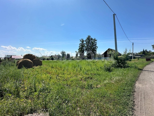 
  Продам  дачный участок, 16 соток, Боровое село

. Фото 4.