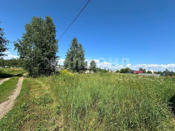 
  Продам  дачный участок, 16 соток, Боровое село

. Фото 6.