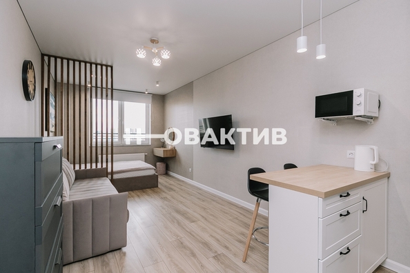 
   Продам студию, 28.7 м², Выборная ул, 133/1

. Фото 1.