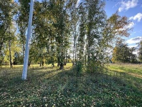 
  Продам  дачный участок, 15 соток, Красный Яр

. Фото 2.