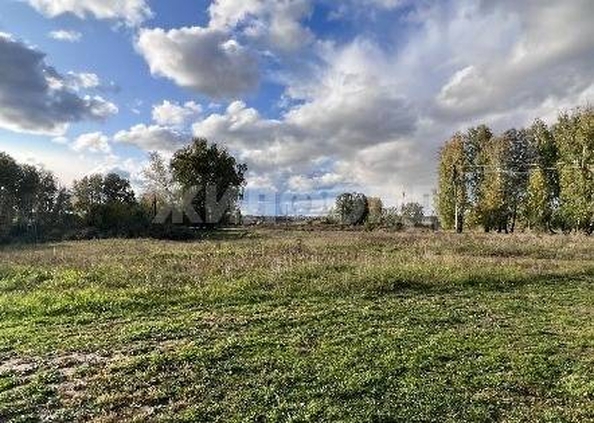 
  Продам  дачный участок, 15 соток, Красный Яр

. Фото 3.