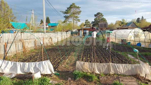 
  Продается земельный участок, 6.6 соток, Новосибирск
. Фото 3.