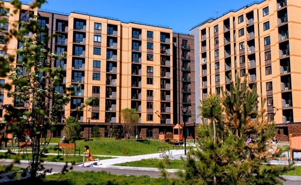 
  Сдам в аренду 2-комнатную квартиру, 38.6 м², Новосибирск

. Фото 20.