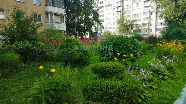 
   Продам 2-комнатную, 45 м², Сибиряков-Гвардейцев ул, 12

. Фото 12.