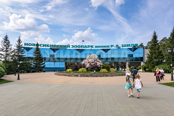 
  Продается 3-комн. квартира, 56.3 м², Жуковского ул, д. 117
. Фото 8.