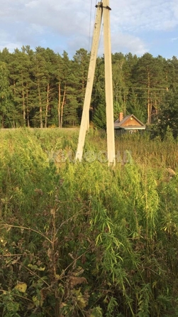 
  Продам  дачный участок, 10 соток, Завьялово

. Фото 6.