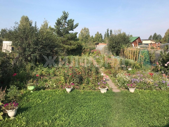 
  Продам дачу, 4.5 соток, Искитим

. Фото 16.