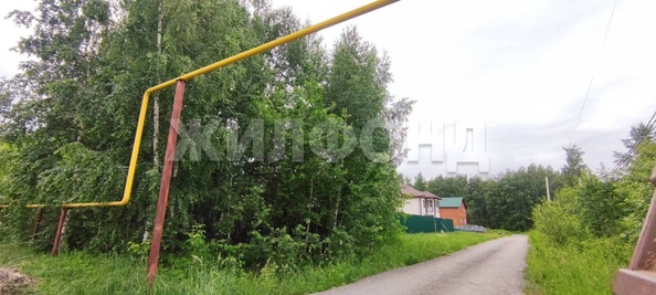 
  Продам  дачный участок, 7 соток, Новосибирск

. Фото 6.