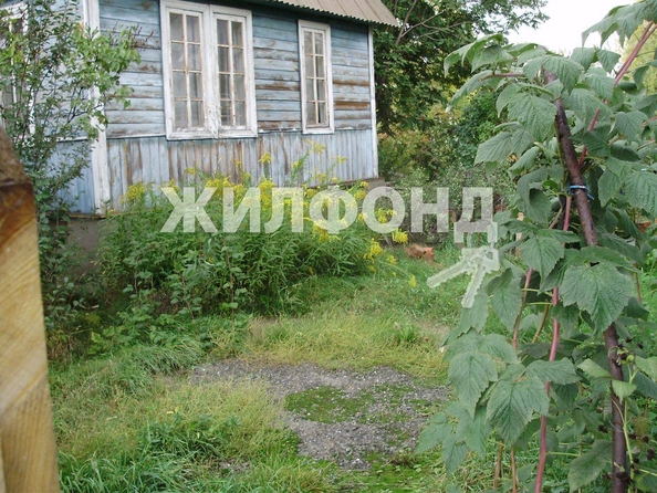 
  Продам дачу, 8 соток, Новосибирск

. Фото 2.