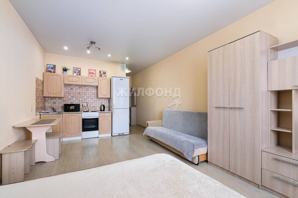 
   Продам студию, 28.2 м², Виктора Уса ул, 4

. Фото 5.