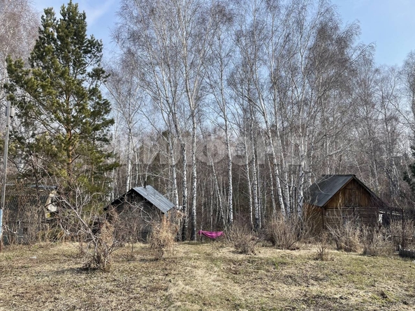 
  Продам дачу, 7.31 соток, Бердск

. Фото 6.