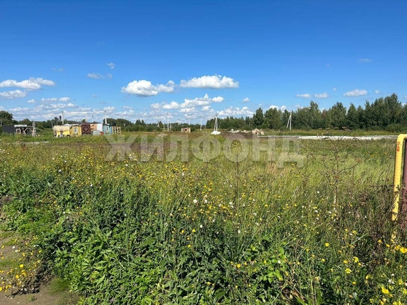 
  Продам  дачный участок, 8.5 соток, Воробьевский пос

. Фото 4.