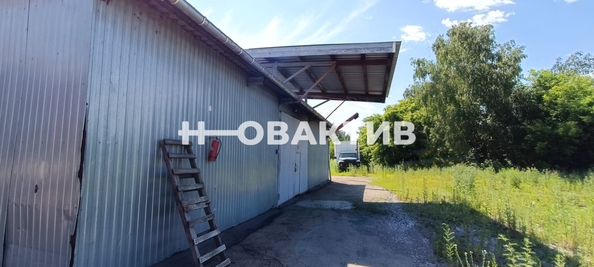 
   Сдам помещение свободного назначения, 1638 м², Октябрьская ул, 97

. Фото 5.