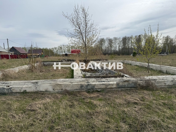 
  Продается земельный участок, 10 соток, рабочий поселок Коченево
. Фото 1.