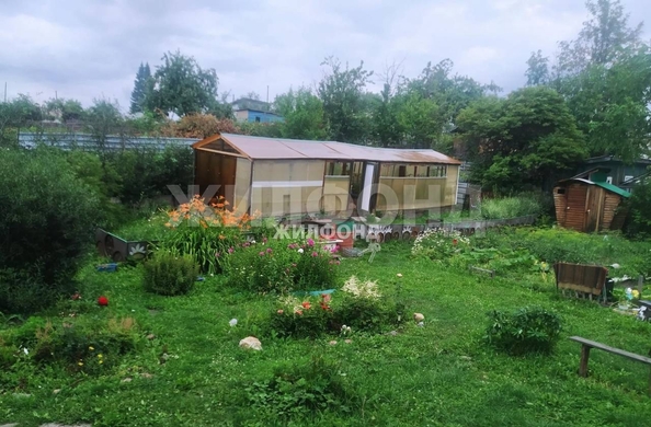
  Продам дачу, 8 соток, Новосибирск

. Фото 7.