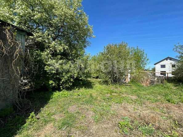 
  Продается дом, 43.7 м², село Толмачево
. Фото 23.