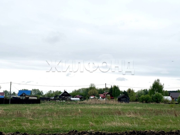 
  Продается земельный участок, 15 соток, село Береговое
. Фото 6.