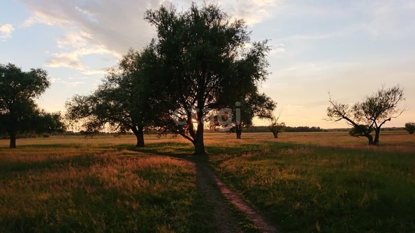 
  Продам  участок ИЖС, 1 соток, Окунево

. Фото 3.