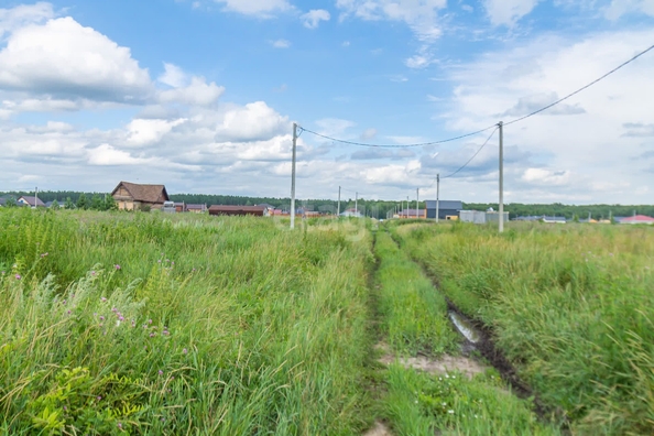 
  Продам  участок ИЖС, 10 соток, Пушкино

. Фото 5.