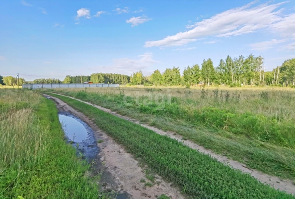 
  Продам  участок ИЖС, 15 соток, Усть-Заостровка

. Фото 5.